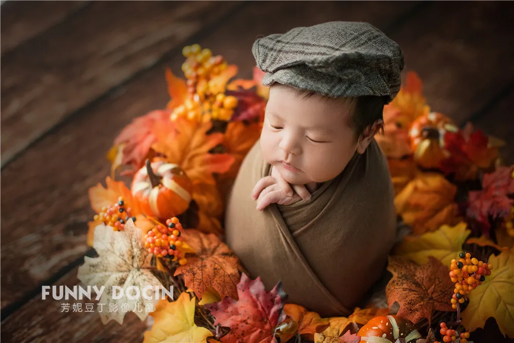 全家福 芳妮豆丁