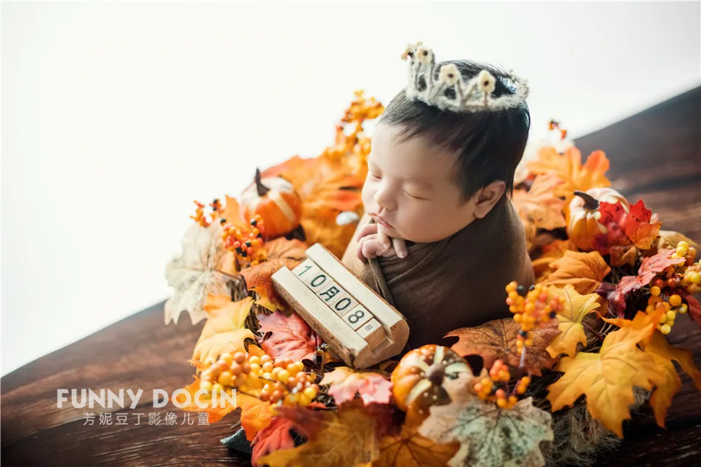 全家福 芳妮豆丁