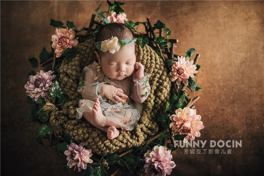 全家福 芳妮豆丁