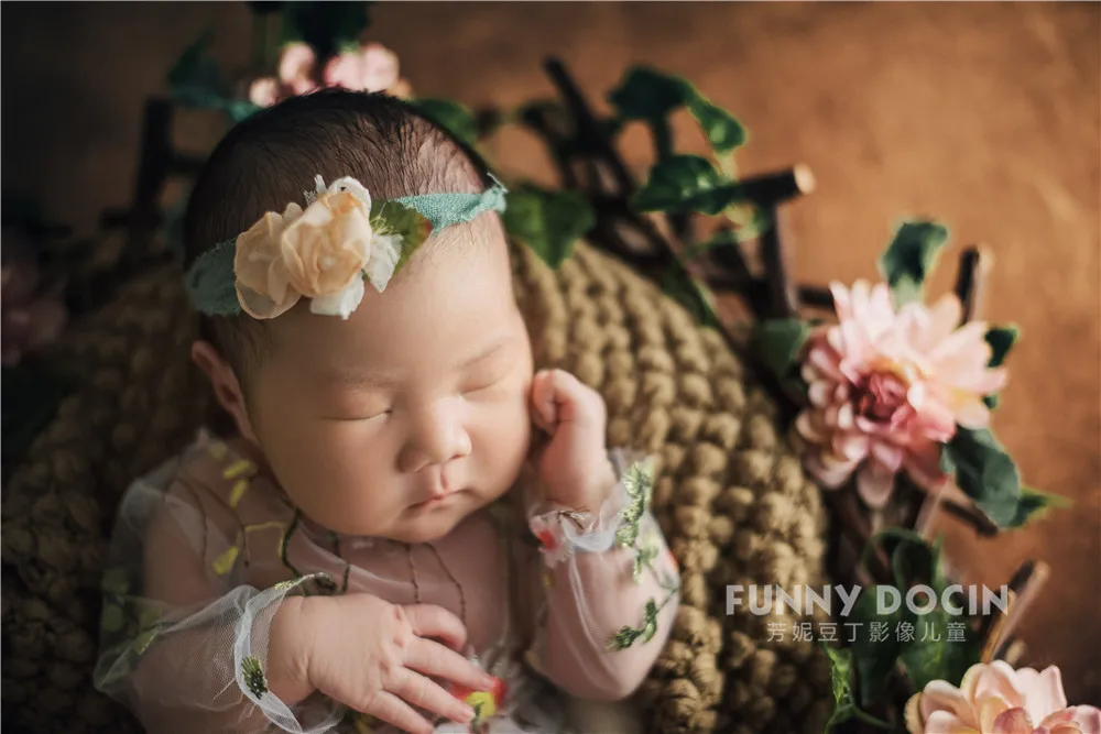 全家福 芳妮豆丁