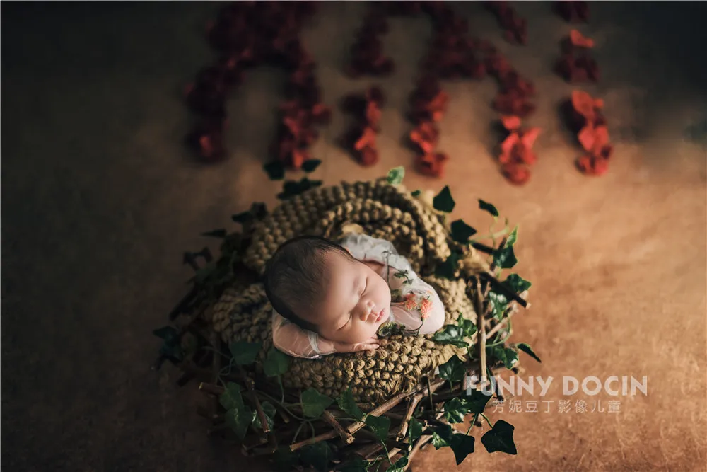 全家福 芳妮豆丁