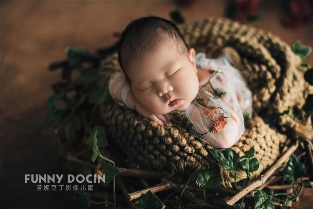 全家福 芳妮豆丁