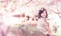 宝贝的樱花外景照在芳妮豆丁拍的，好美~