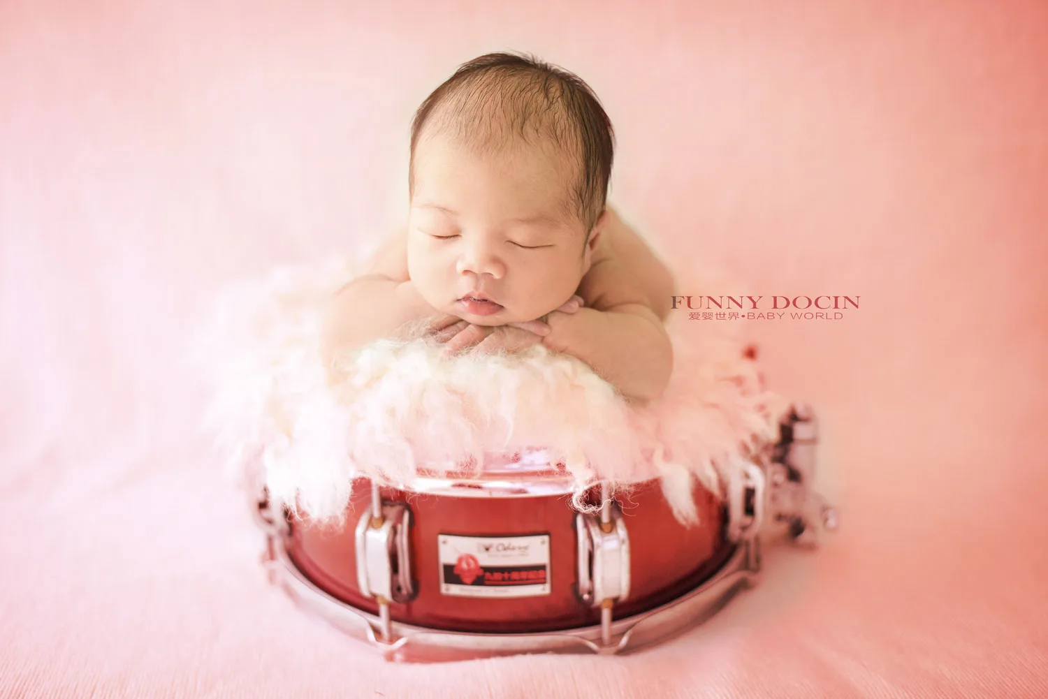 全家福 芳妮豆丁