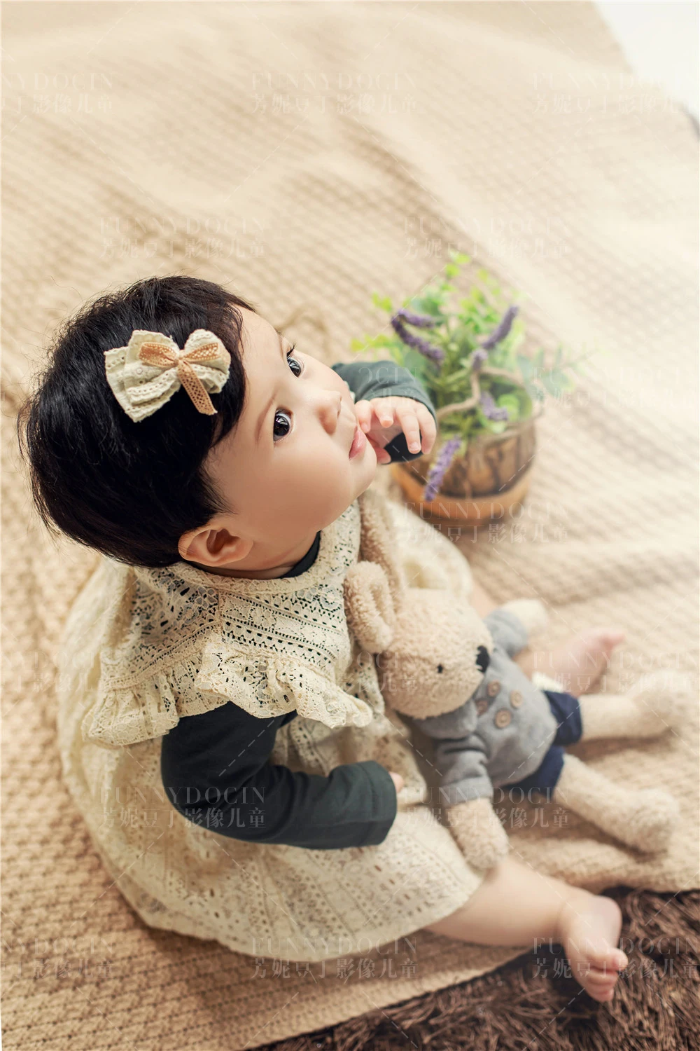 全家福 芳妮豆丁