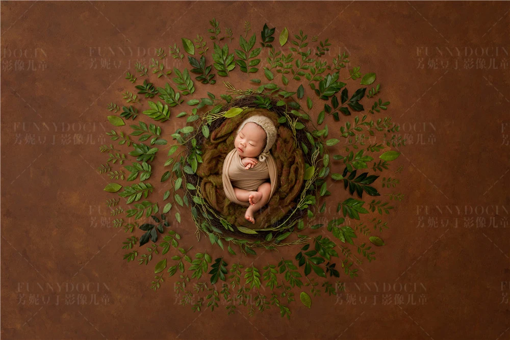 全家福 芳妮豆丁