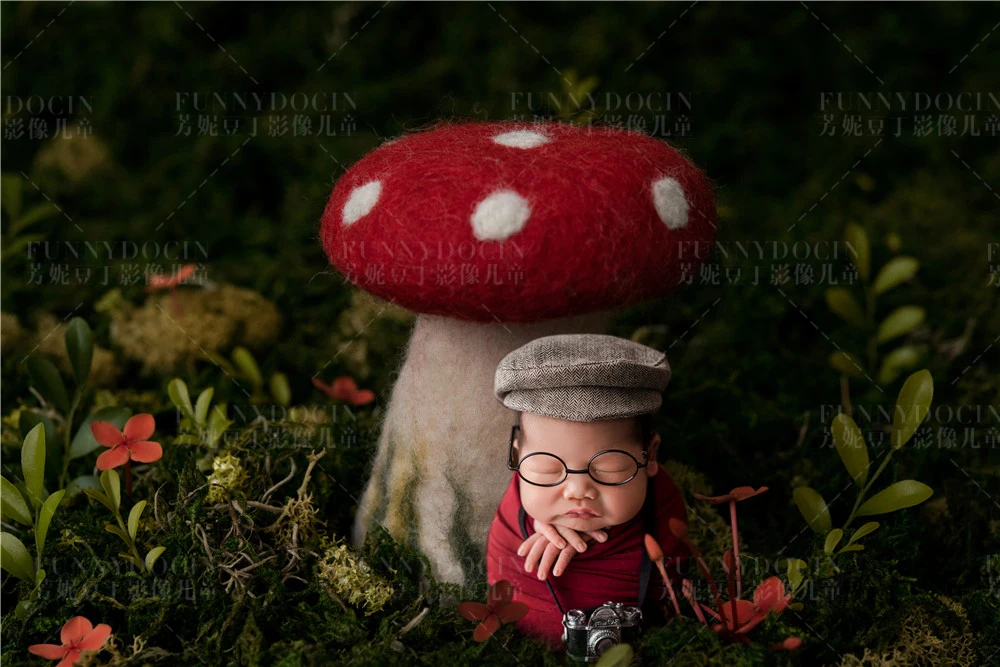 全家福 芳妮豆丁