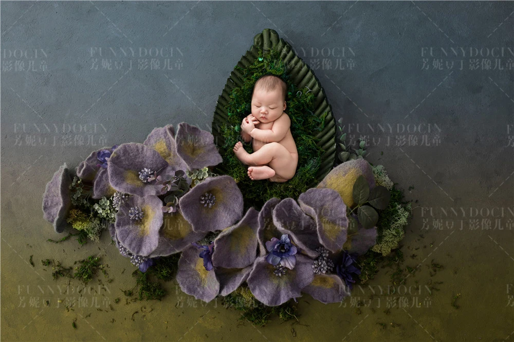 全家福 芳妮豆丁