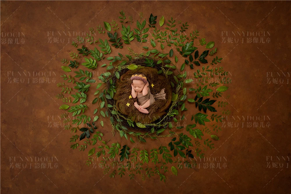 全家福 芳妮豆丁