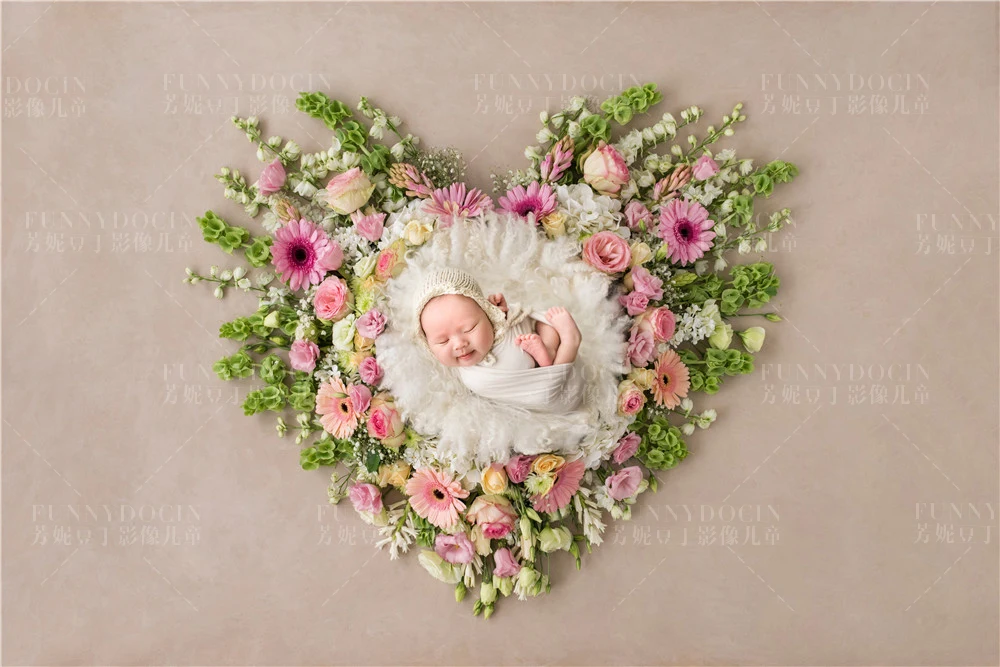 全家福 芳妮豆丁