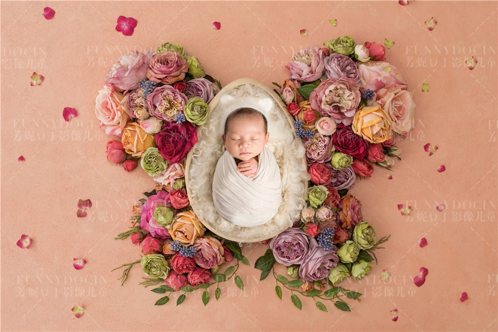 全家福 芳妮豆丁