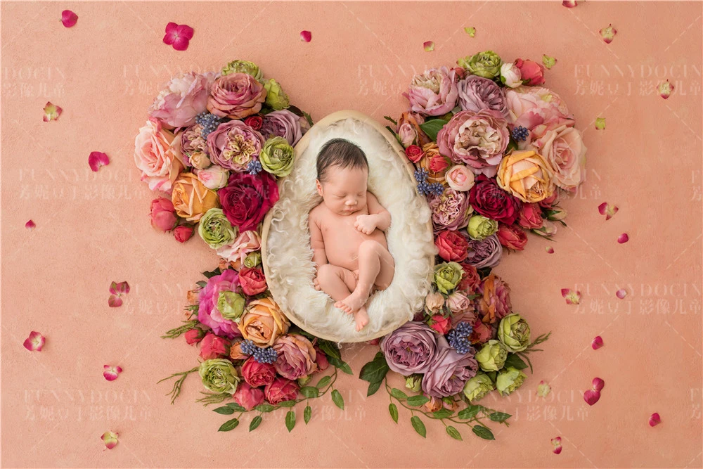 全家福 芳妮豆丁