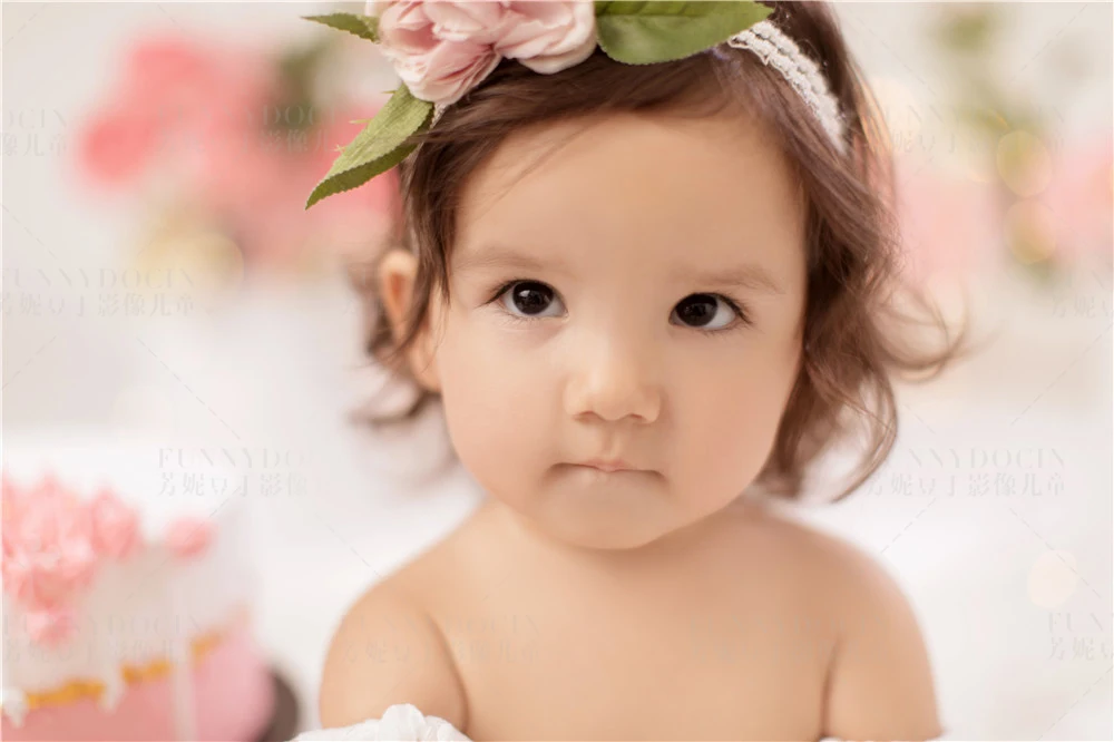 全家福 芳妮豆丁