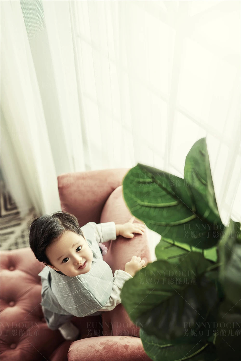 全家福 芳妮豆丁
