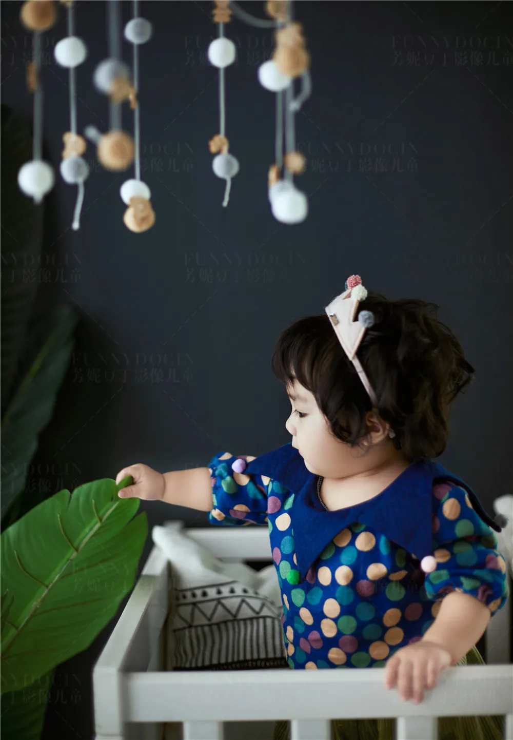 全家福 芳妮豆丁