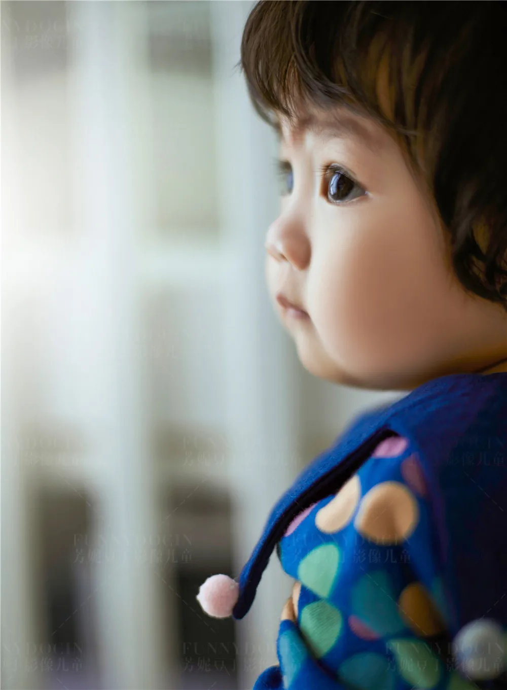 全家福 芳妮豆丁