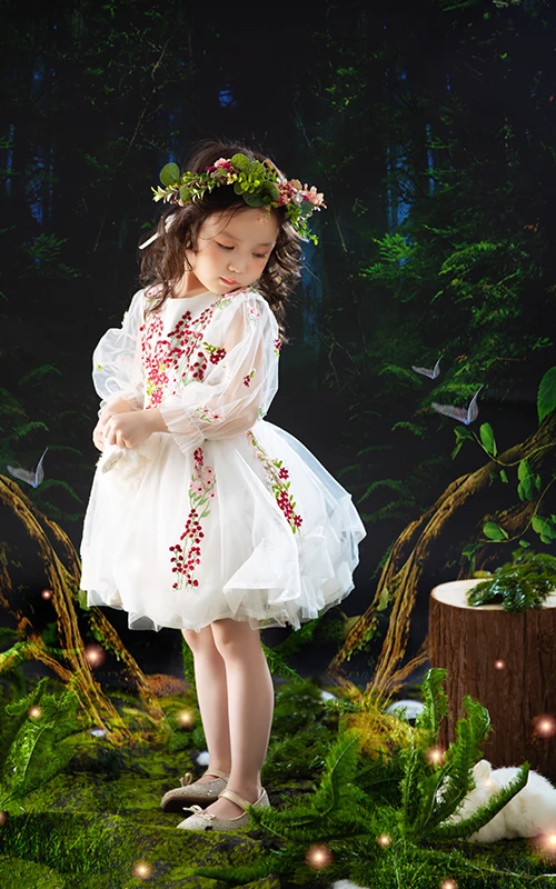 芳妮豆丁儿童摄影 麦子