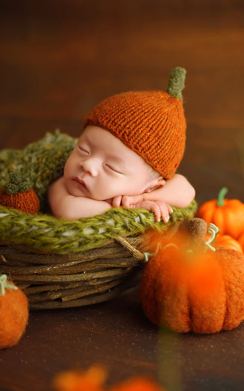 全家福 芳妮豆丁