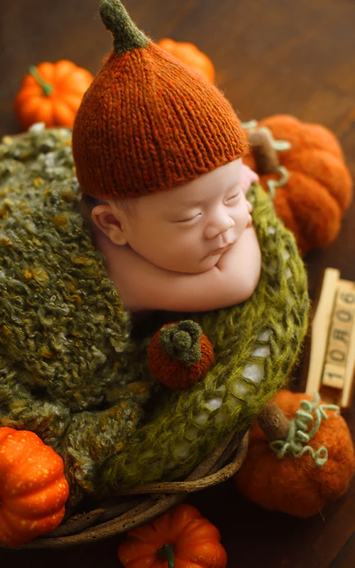 全家福 芳妮豆丁