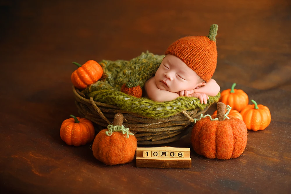 全家福 芳妮豆丁