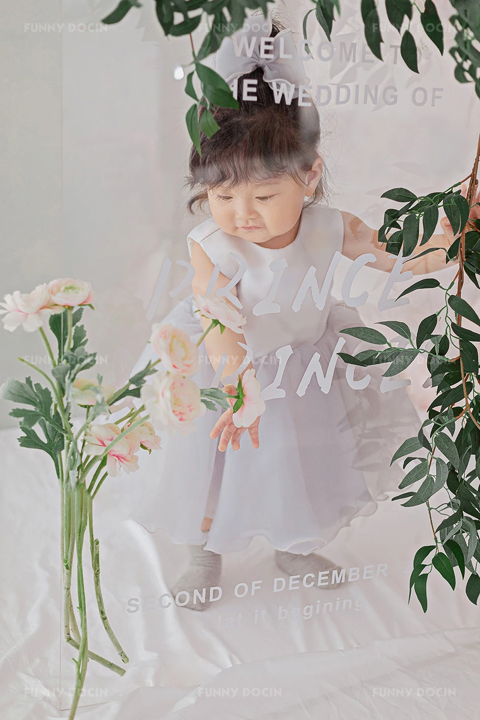 全家福 芳妮豆丁