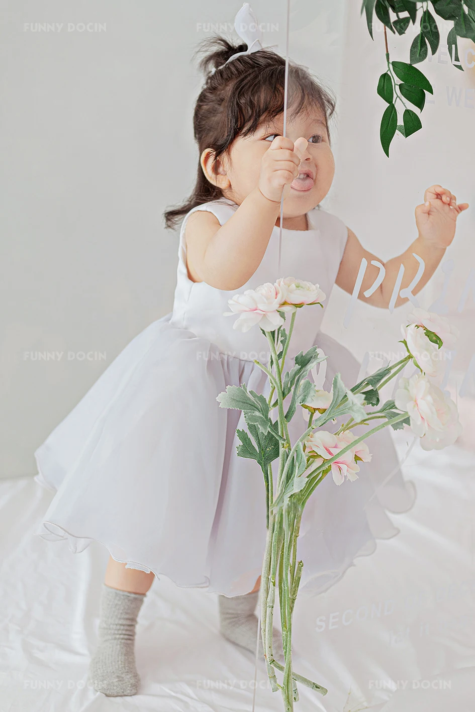 全家福 芳妮豆丁