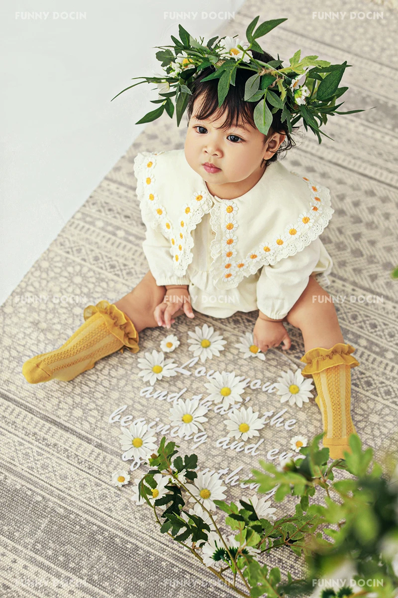 全家福 芳妮豆丁