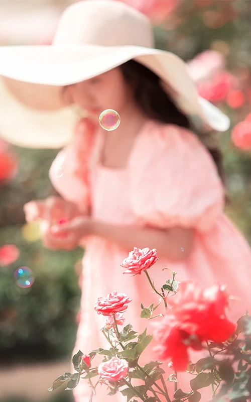 芳妮豆丁儿童摄影 玫瑰庄园