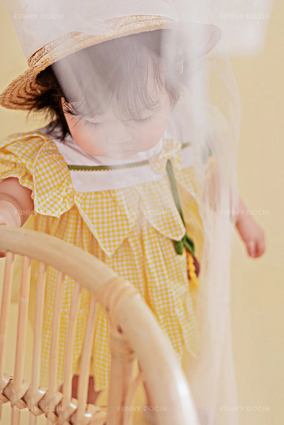 全家福 芳妮豆丁