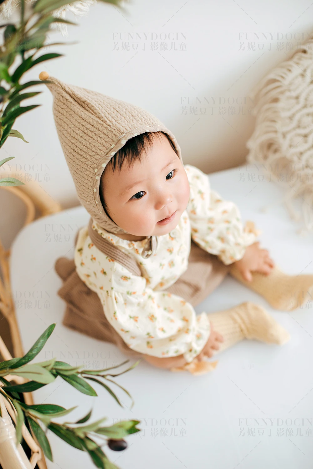 全家福 芳妮豆丁