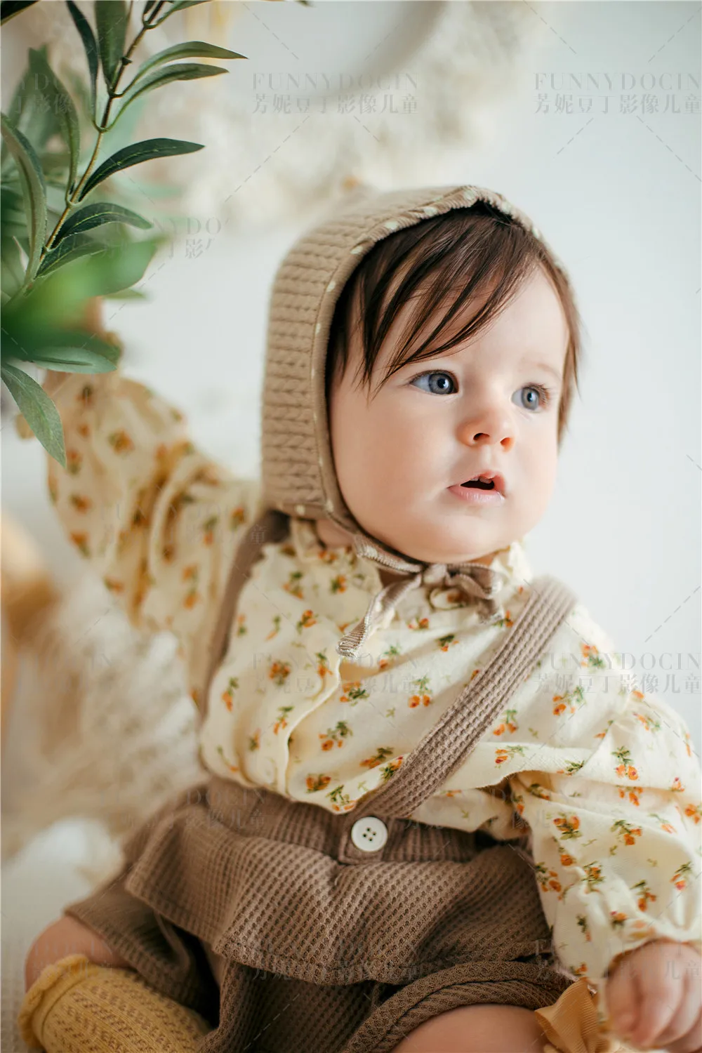 全家福 芳妮豆丁