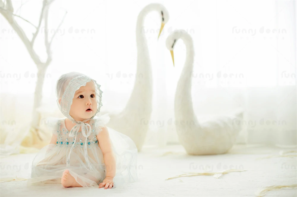 芳妮豆丁儿童摄影 天鹅秘境