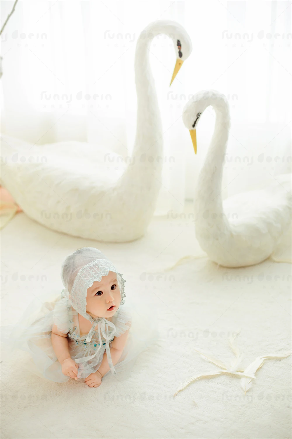芳妮豆丁儿童摄影 天鹅秘境