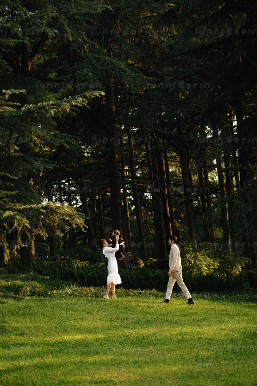 全家福 芳妮豆丁