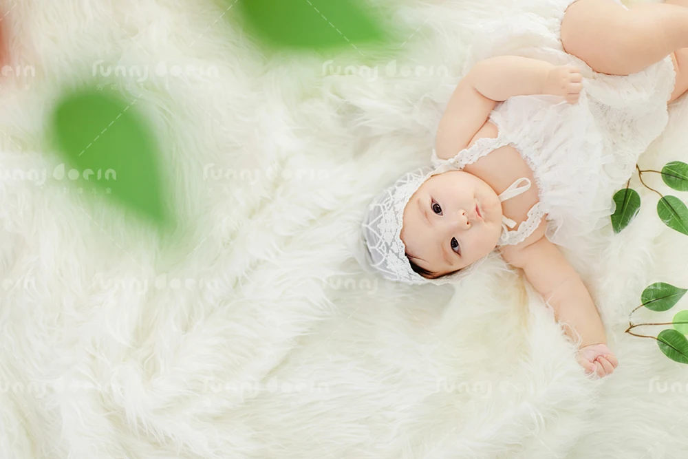 全家福 芳妮豆丁