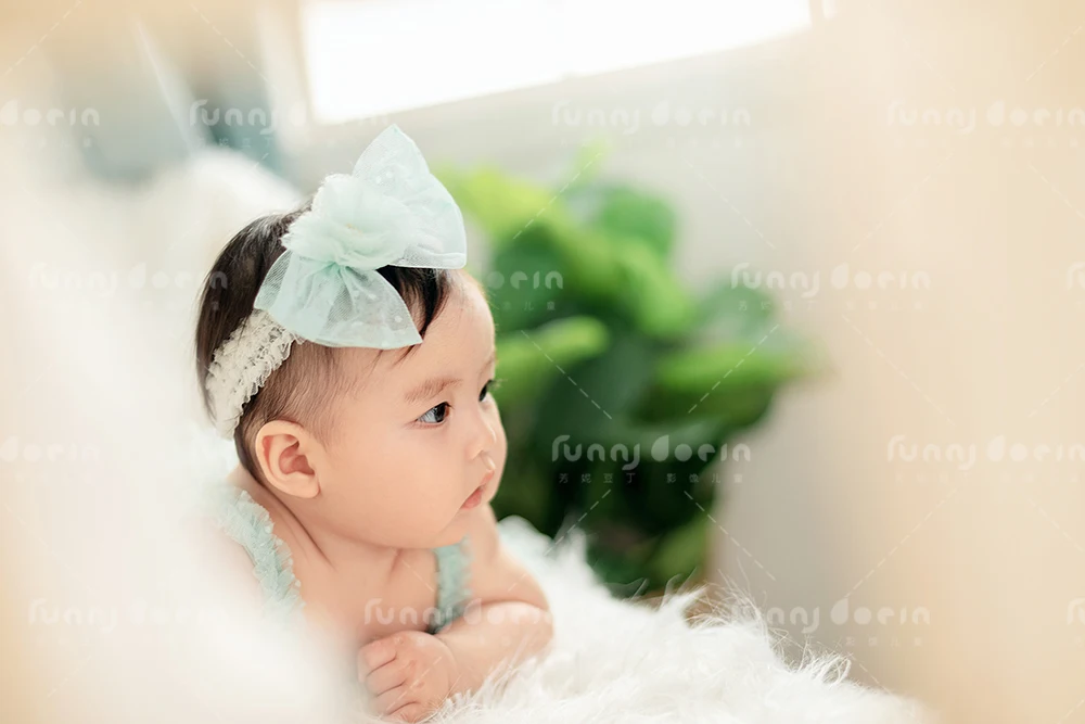 全家福 芳妮豆丁