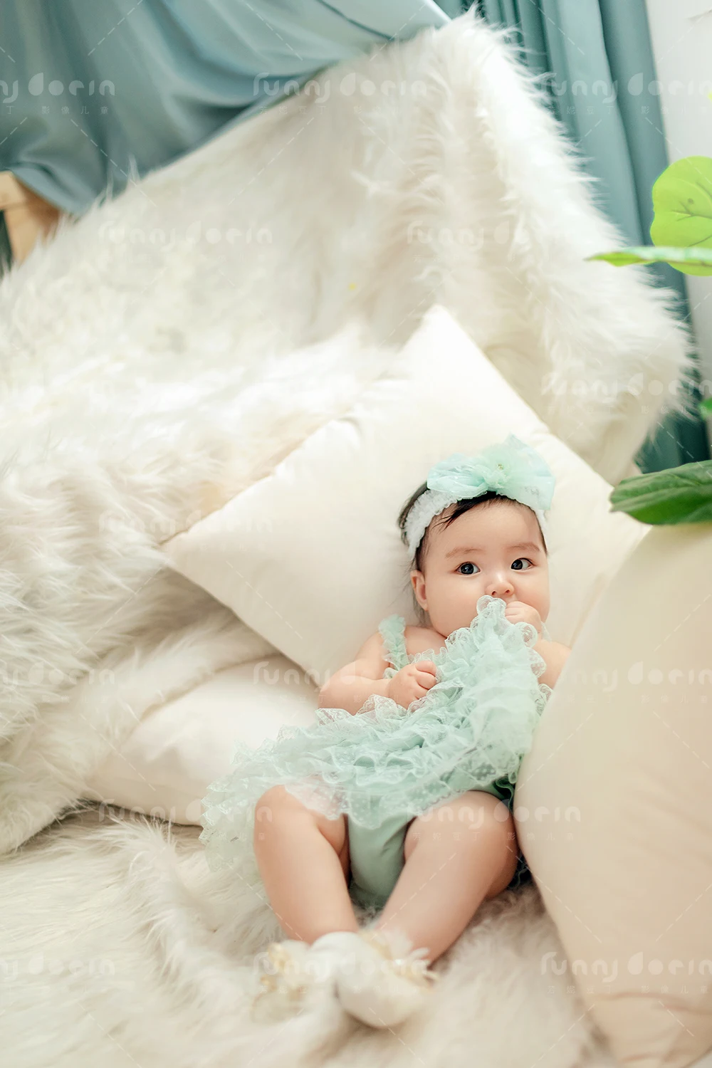 全家福 芳妮豆丁