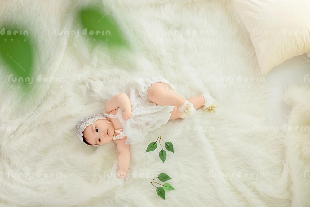 全家福 芳妮豆丁