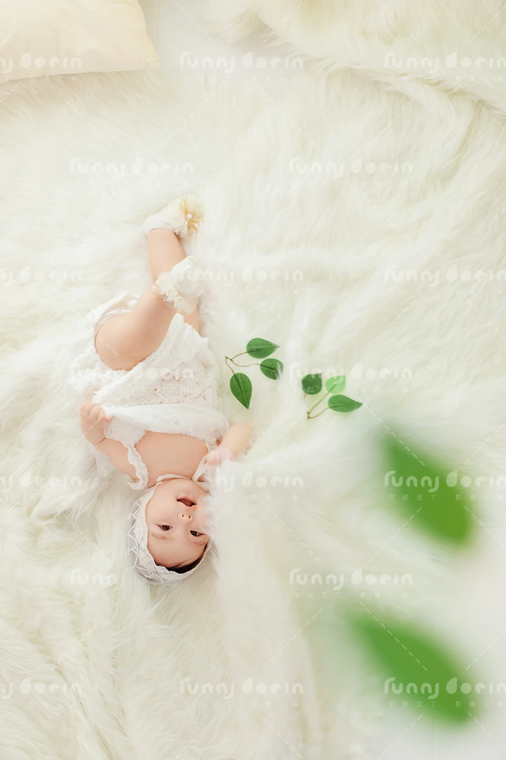 全家福 芳妮豆丁