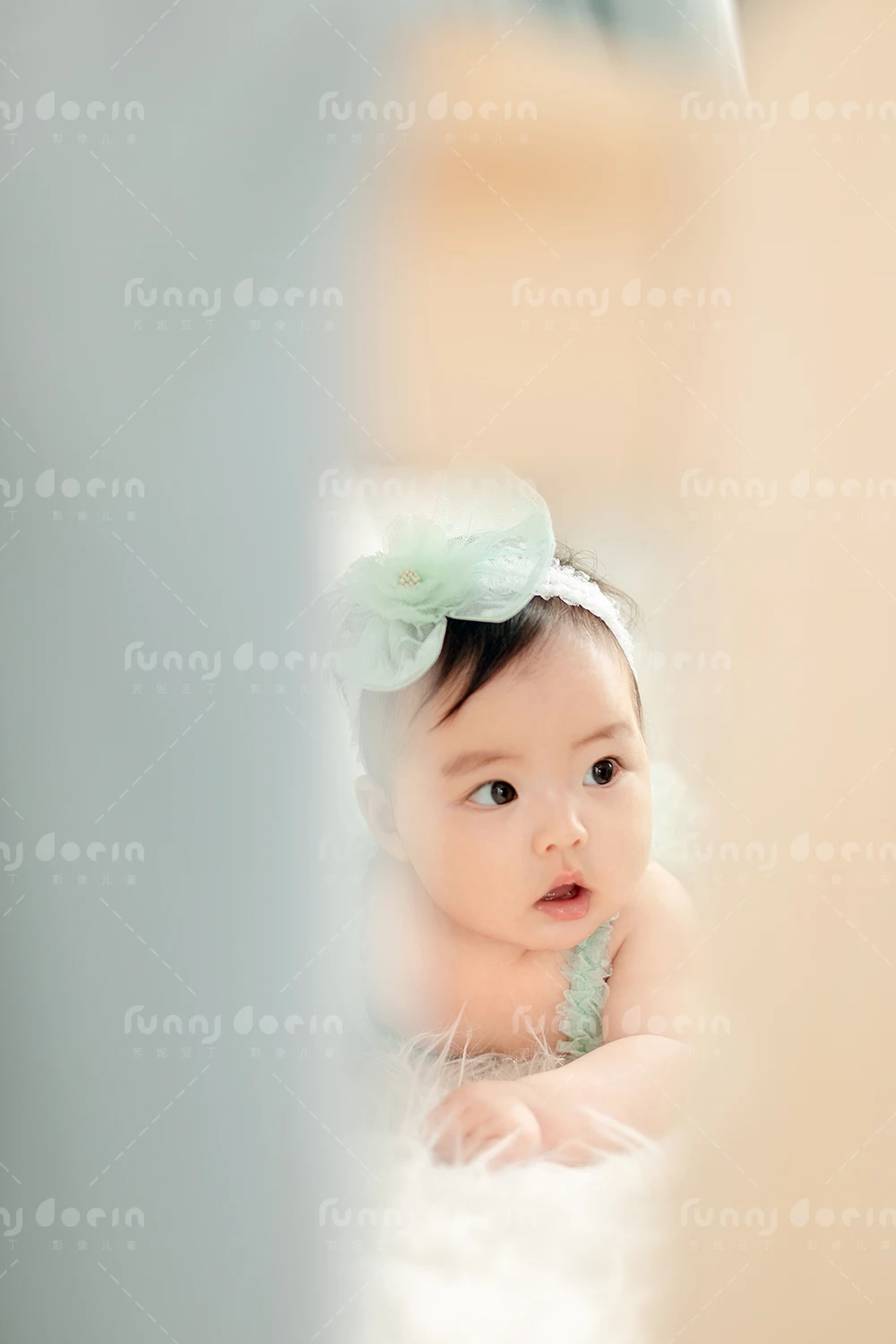 全家福 芳妮豆丁