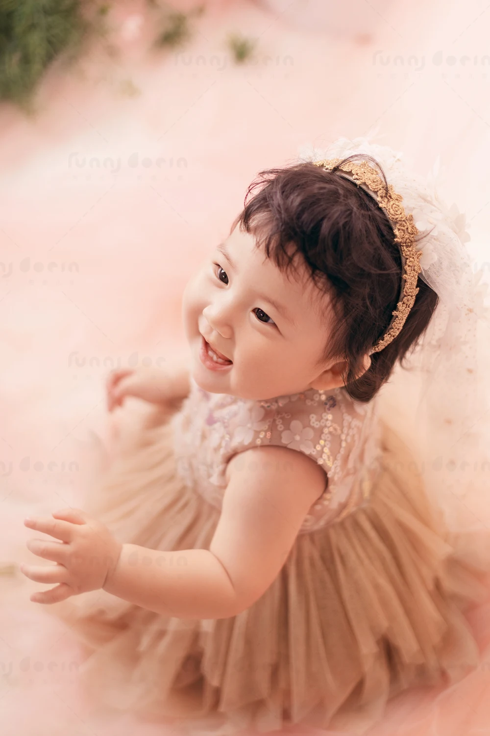 全家福 芳妮豆丁