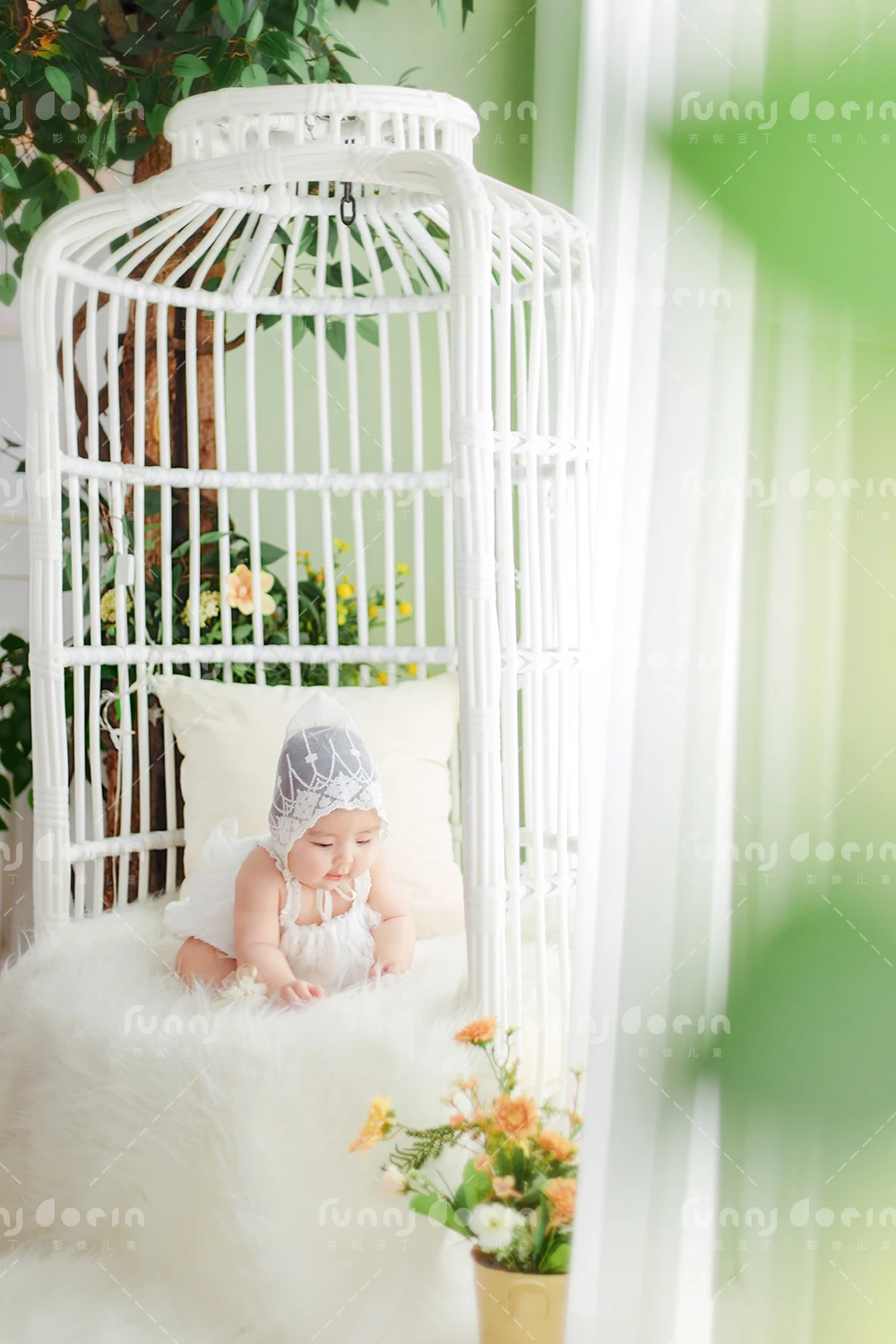 全家福 芳妮豆丁