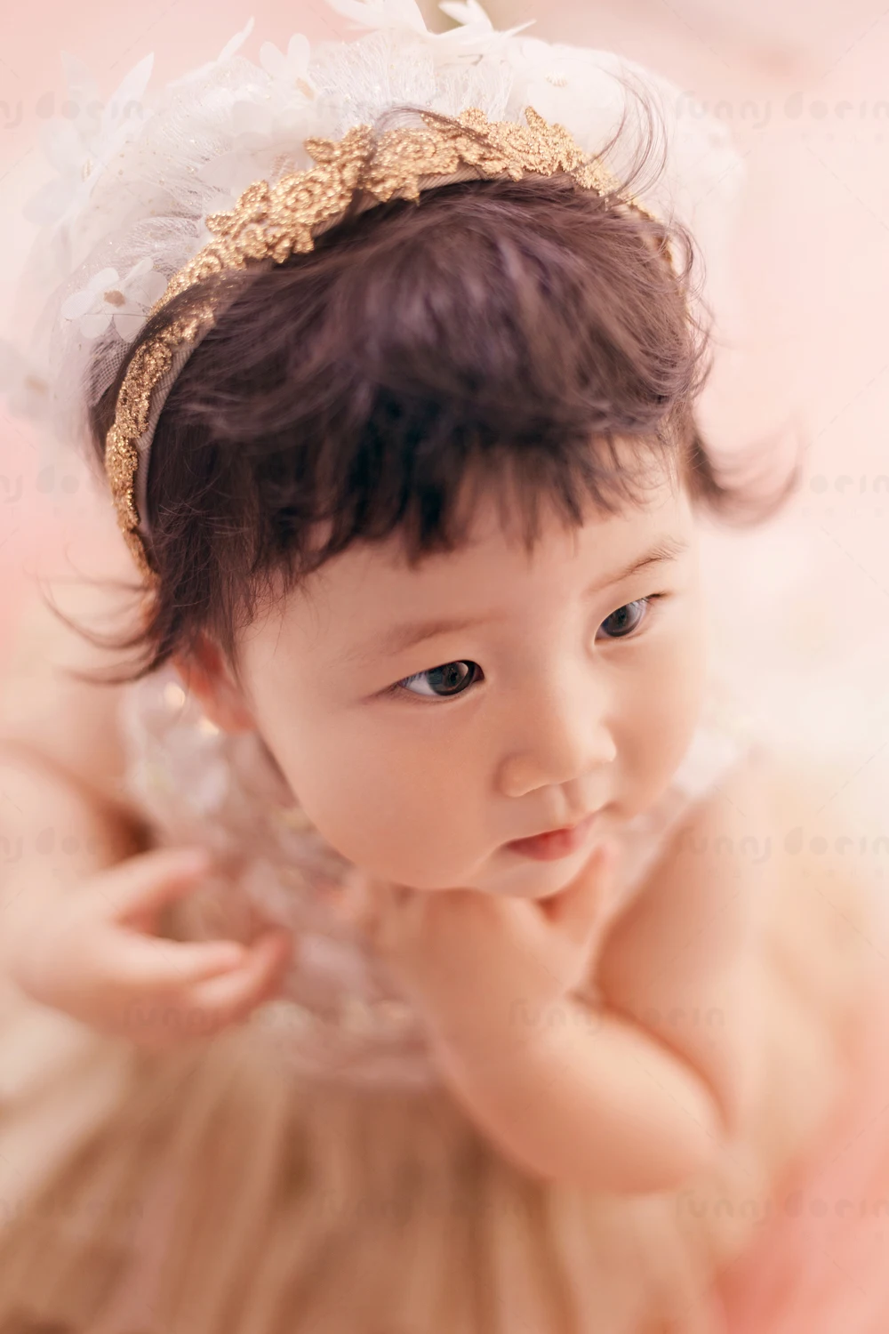 全家福 芳妮豆丁