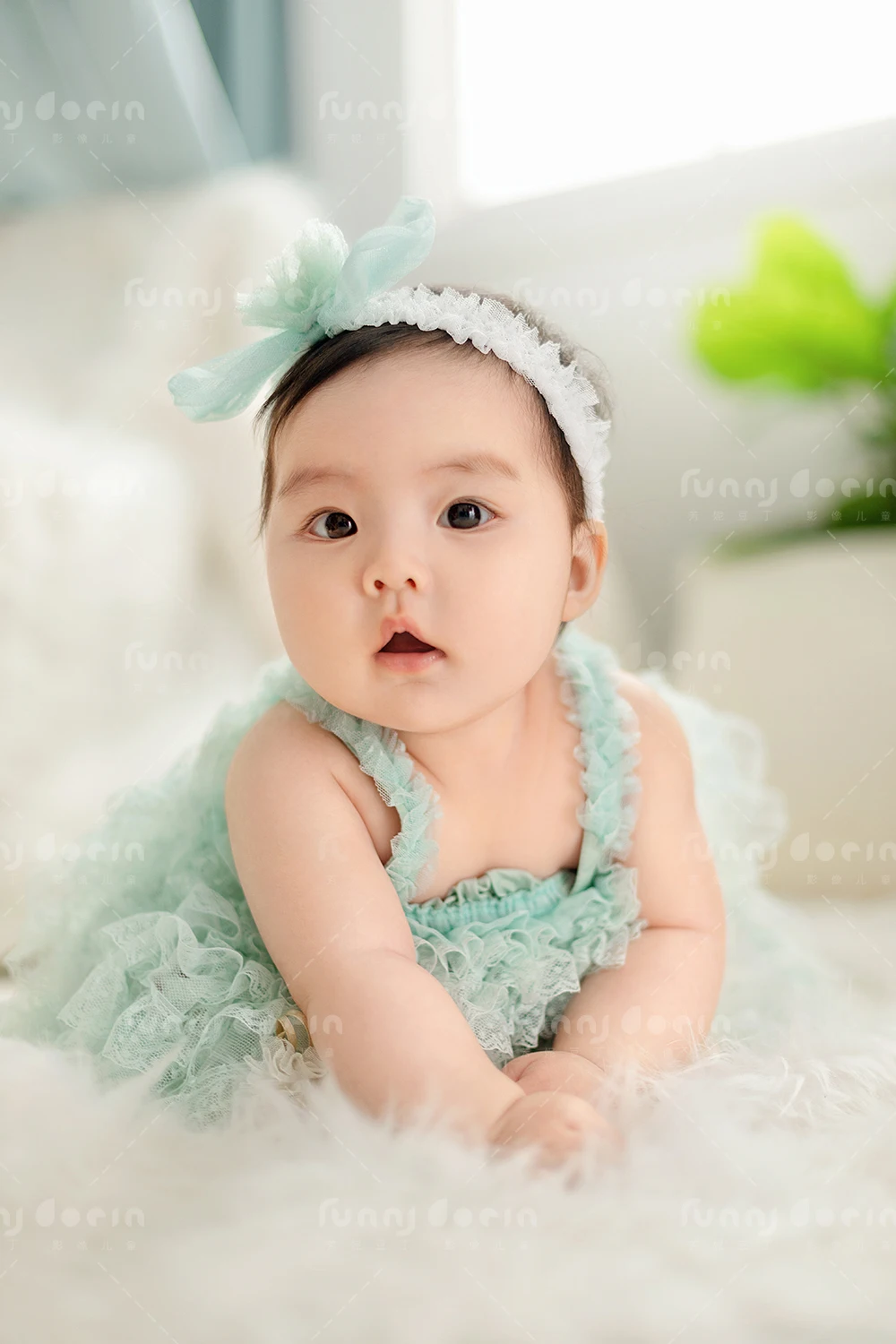 全家福 芳妮豆丁