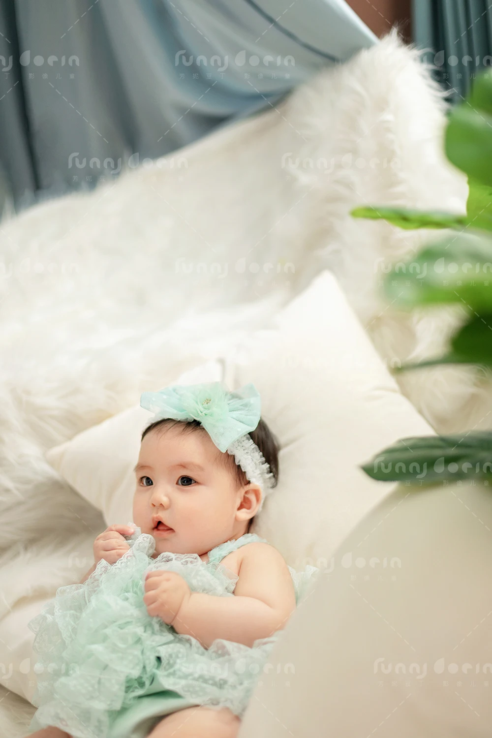 全家福 芳妮豆丁