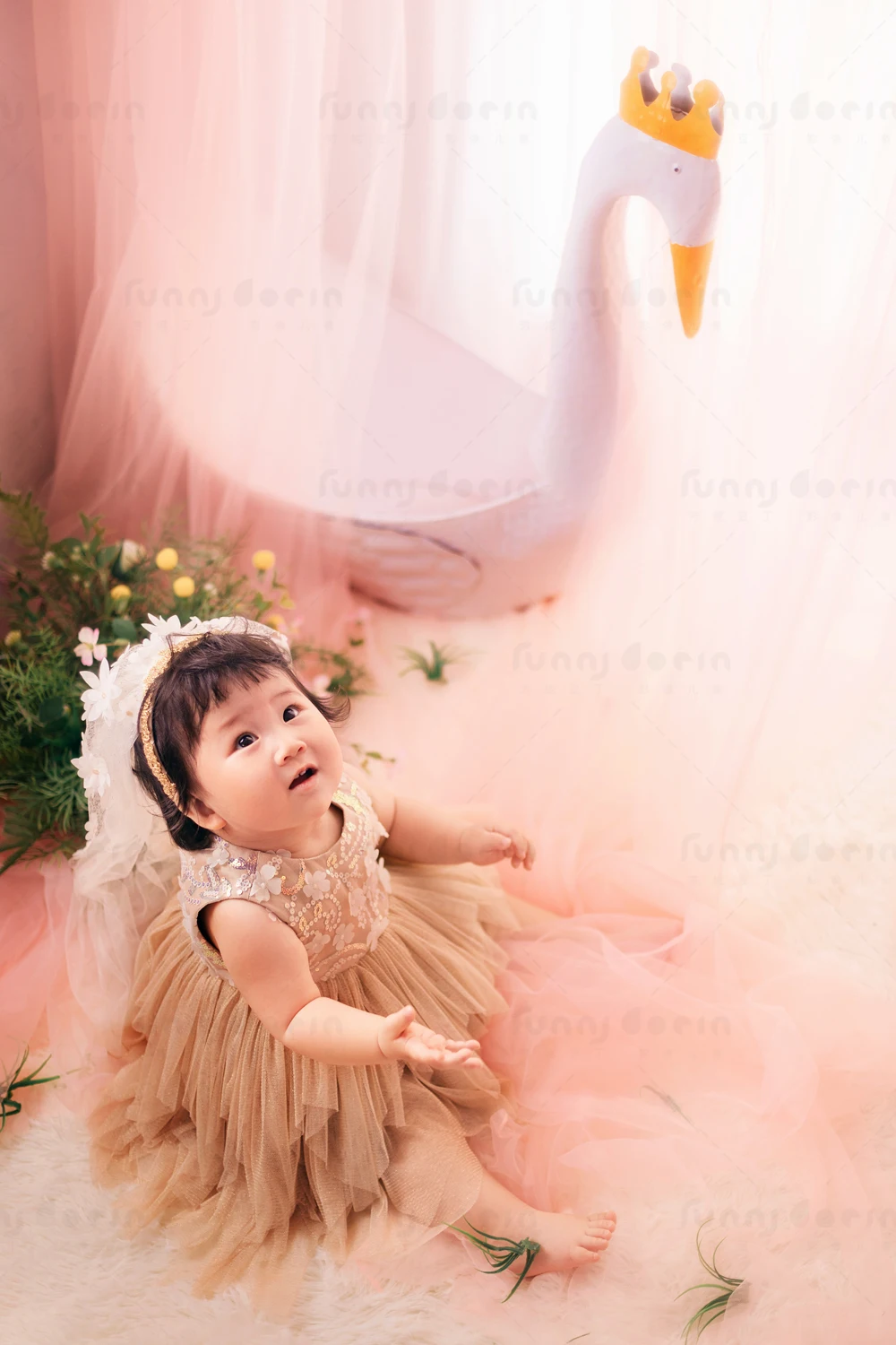 全家福 芳妮豆丁