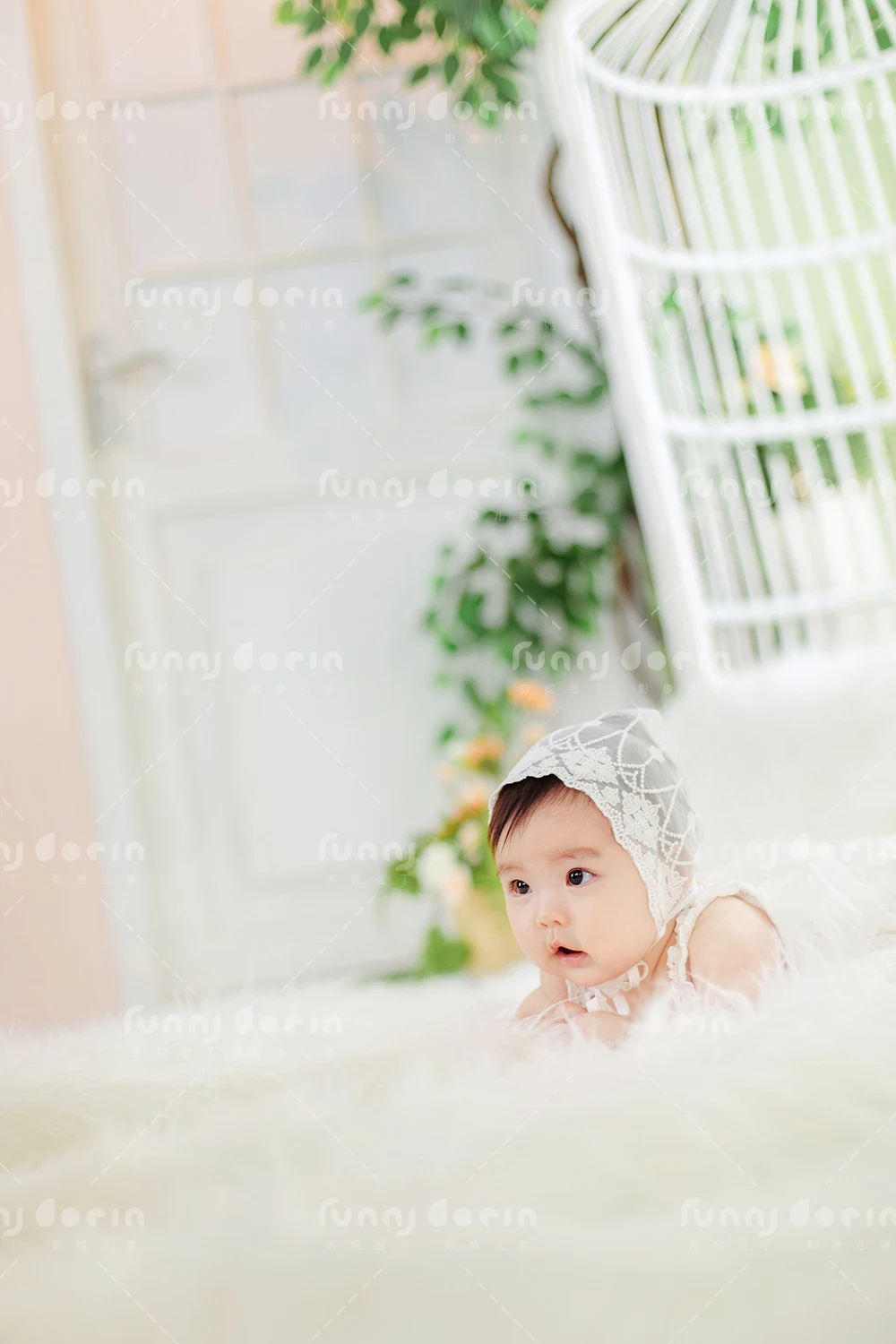 全家福 芳妮豆丁