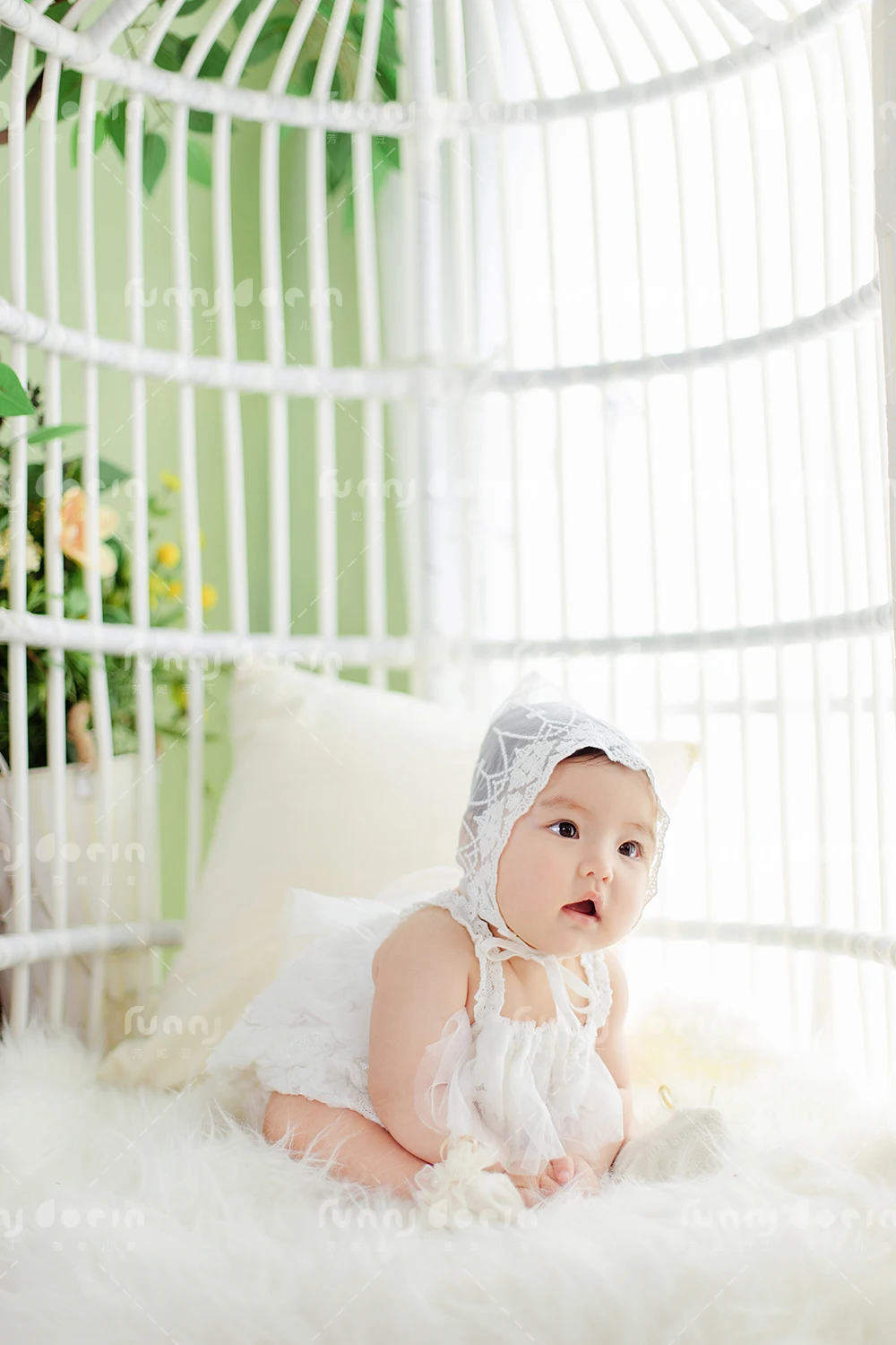 全家福 芳妮豆丁