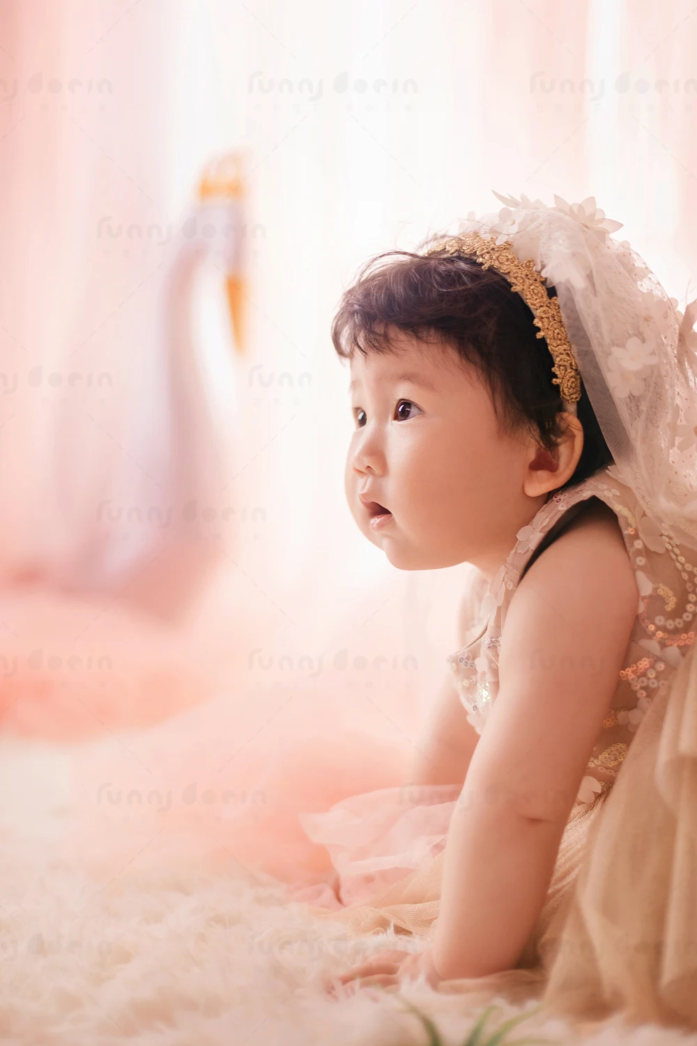 全家福 芳妮豆丁