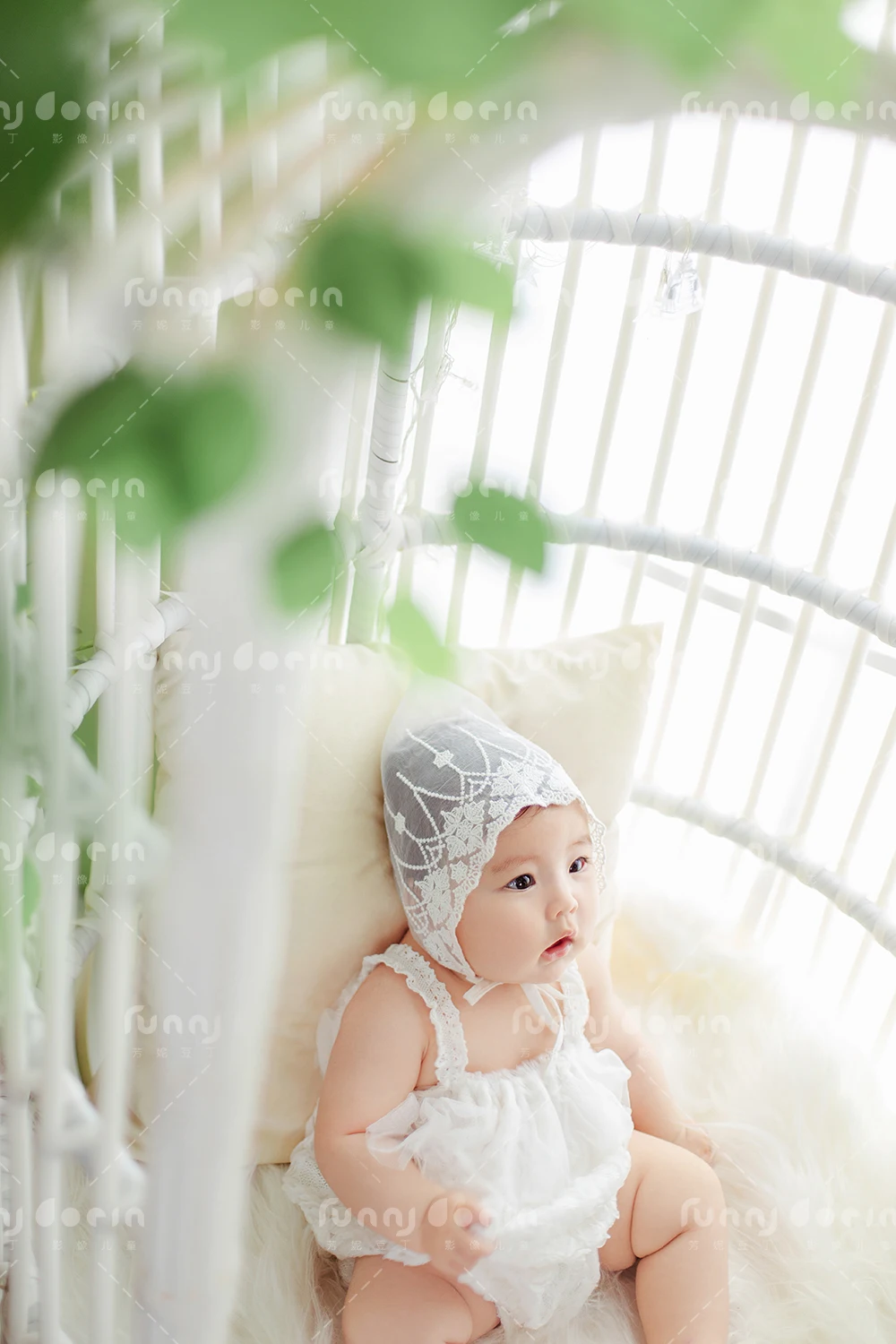 全家福 芳妮豆丁